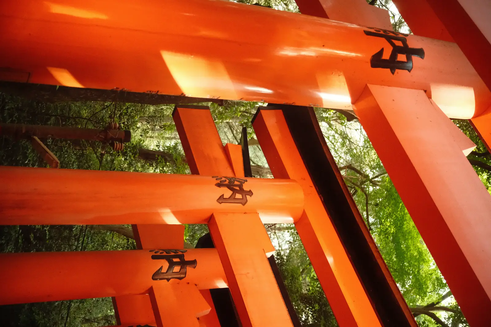 Torii gates at Fushimi Inari Shrine in Kyoto