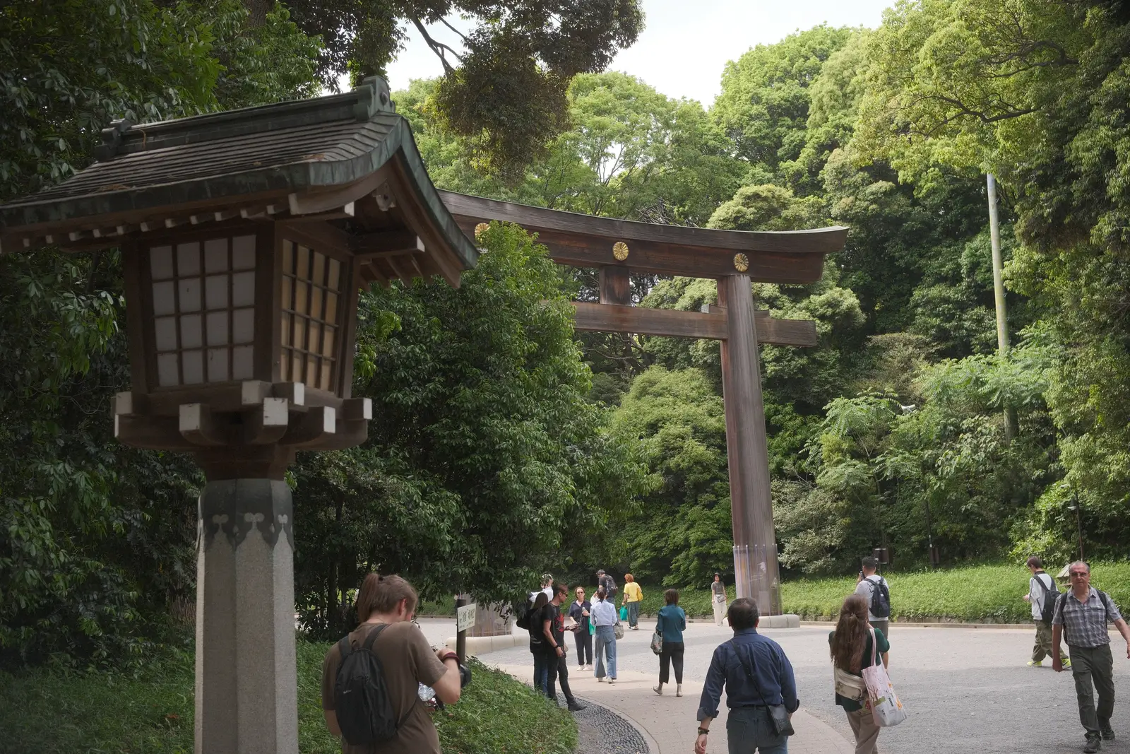 Traditional lamp beside a large torii gate at Meiji Shrine, Tokyo