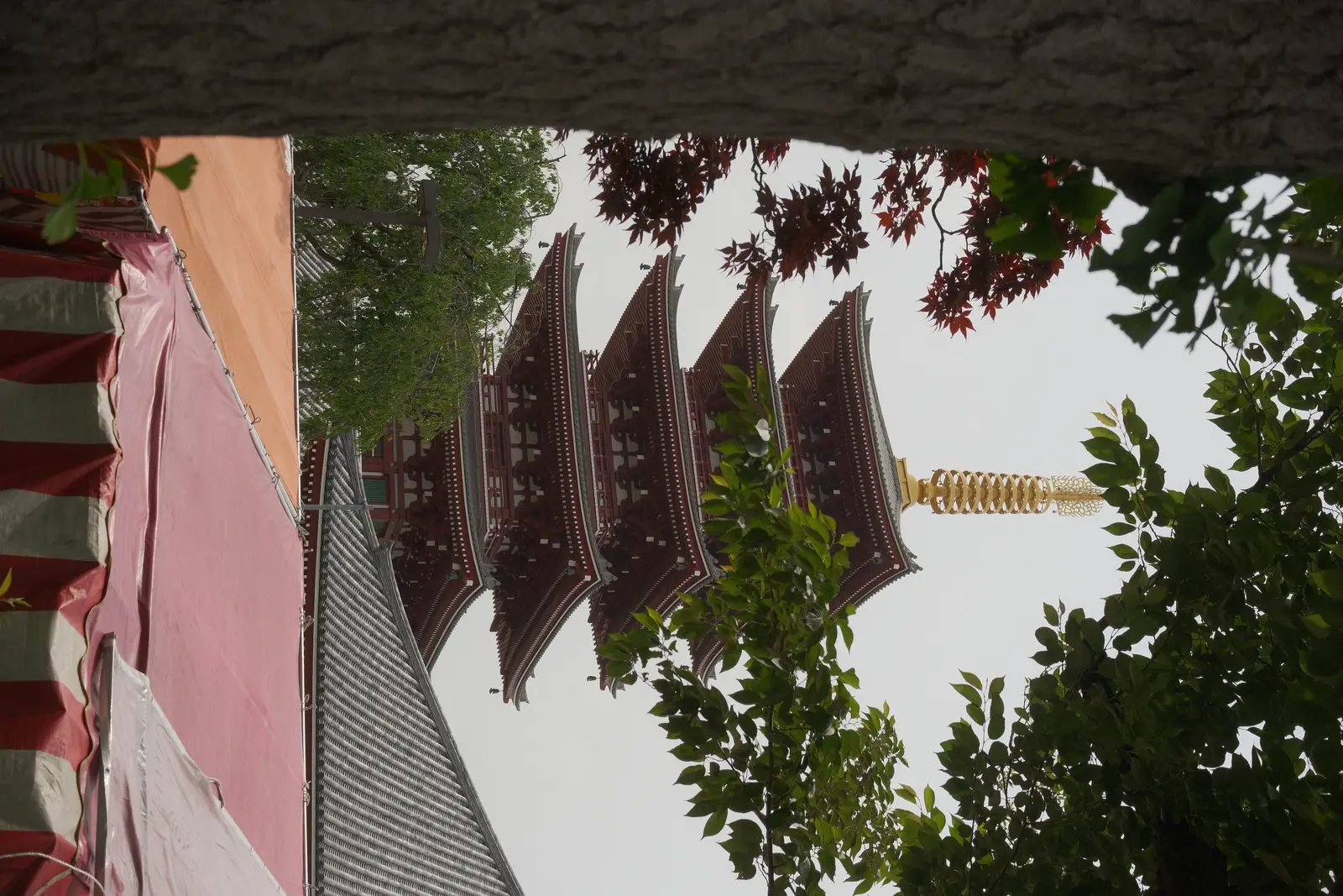 Five-storied pagoda at Sensoji Temple in Tokyo at sunset